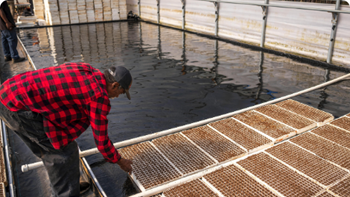 LÀM THÉP KẾT CẤU
